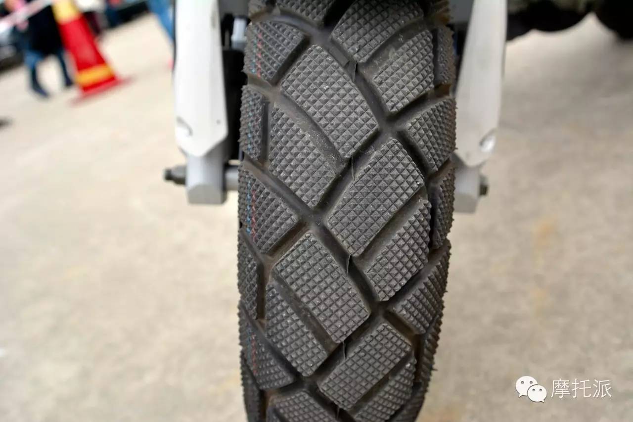 贝纳利小暴龙暴力吗,贝纳利小暴龙最详细的介绍