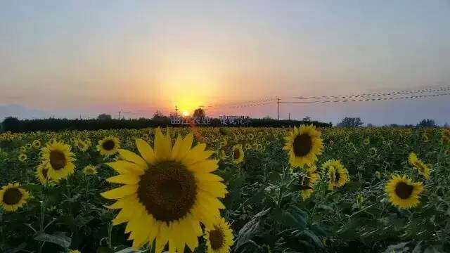 西安香格里拉是一个旅游景点吗,西安香格里拉游玩攻略