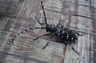 小学阅读完童年后的活动,看孩子运动会想起自己小时候