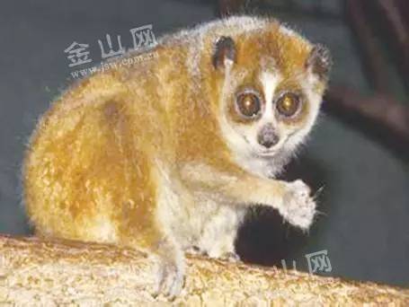 一些人其实是放生实则是杀生,放生又杀生有什么罪过