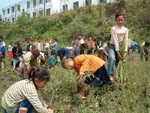 小学阅读完童年后的活动,看孩子运动会想起自己小时候