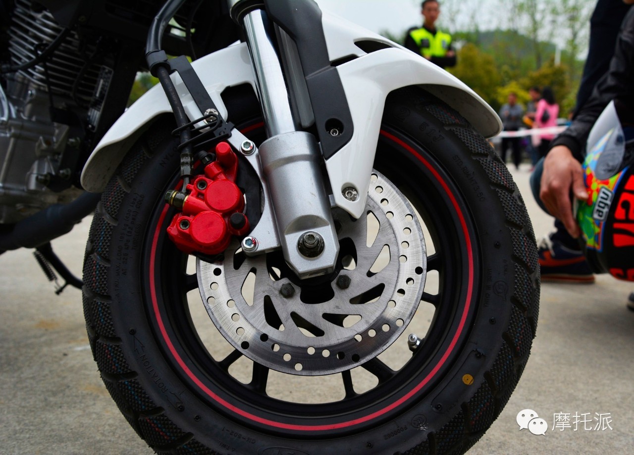 贝纳利小暴龙暴力吗,贝纳利小暴龙最详细的介绍