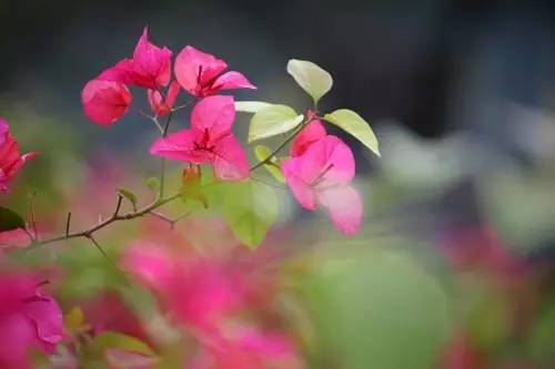 photoshop教程100集,photoshop教程一寸照片