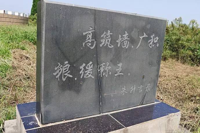 视察家|换换口味！美资企业究竟强在哪儿？业内人士打入组织内部一探究竟