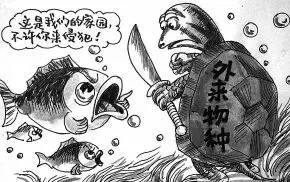 一些人其实是放生实则是杀生,放生又杀生有什么罪过