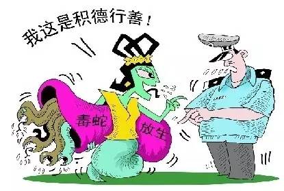 一些人其实是放生实则是杀生,放生又杀生有什么罪过