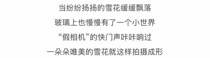 摄影最美人物照片,摄影人的第一张照片