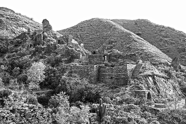 寻访犍陀罗,犍陀罗艺术