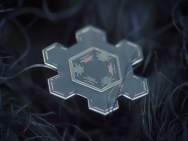 摄影最美人物照片,摄影人的第一张照片