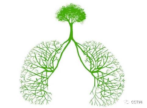 慢阻肺肺气肿怎么养肺,慢阻肺病需要补肺吗