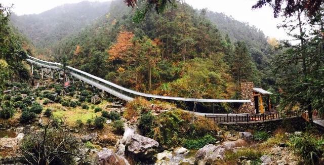 村民一年农家乐收入180万农民玩精品民宿一年100万，看看浙江“走进森林人家”采访活动你会吃惊