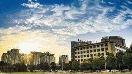 佩奇表情包搞笑图片,适合佩奇的表情包