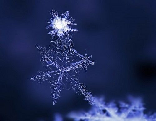 摄影最美人物照片,摄影人的第一张照片