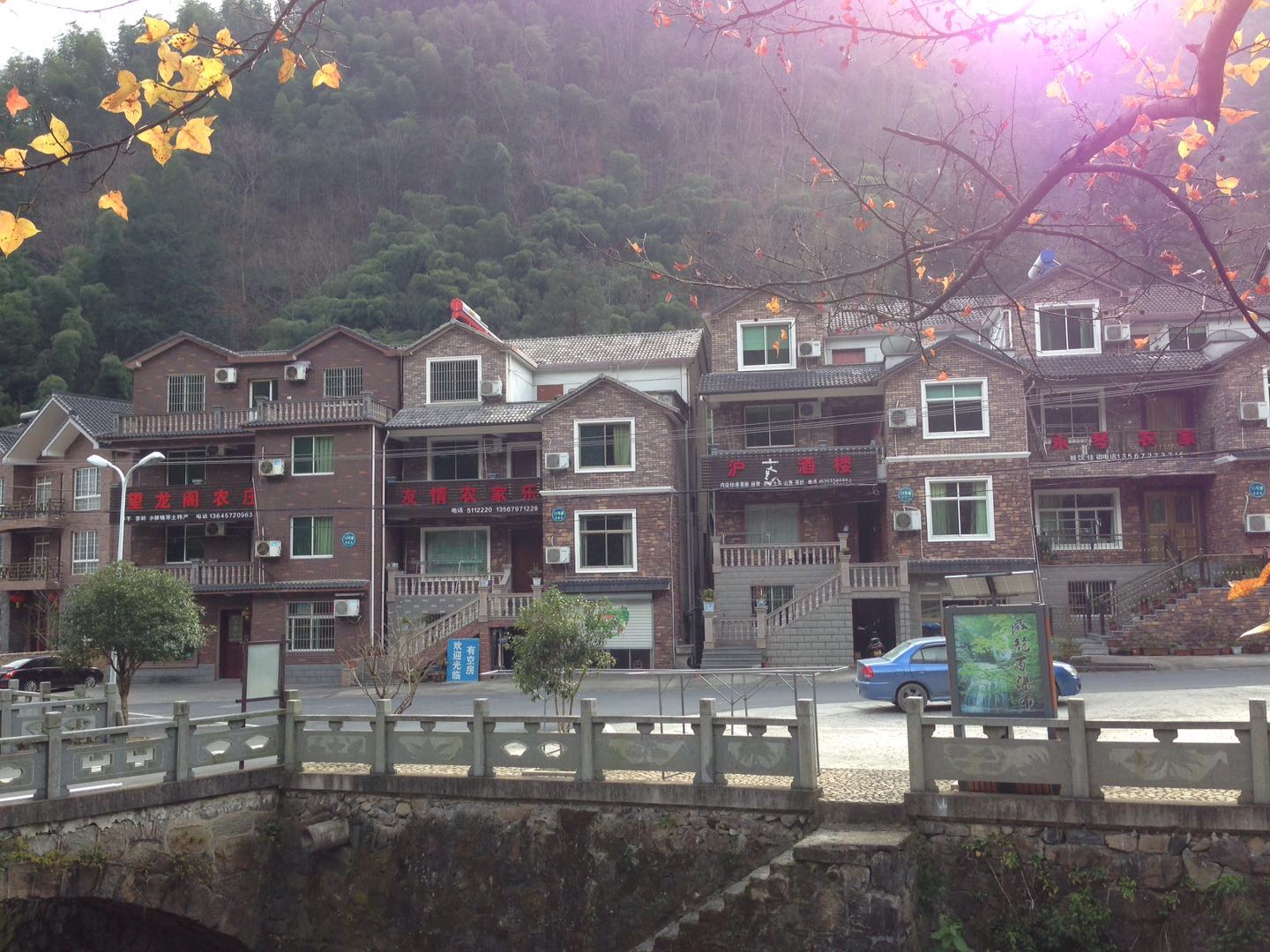 村民一年农家乐收入180万农民玩精品民宿一年100万，看看浙江“走进森林人家”采访活动你会吃惊