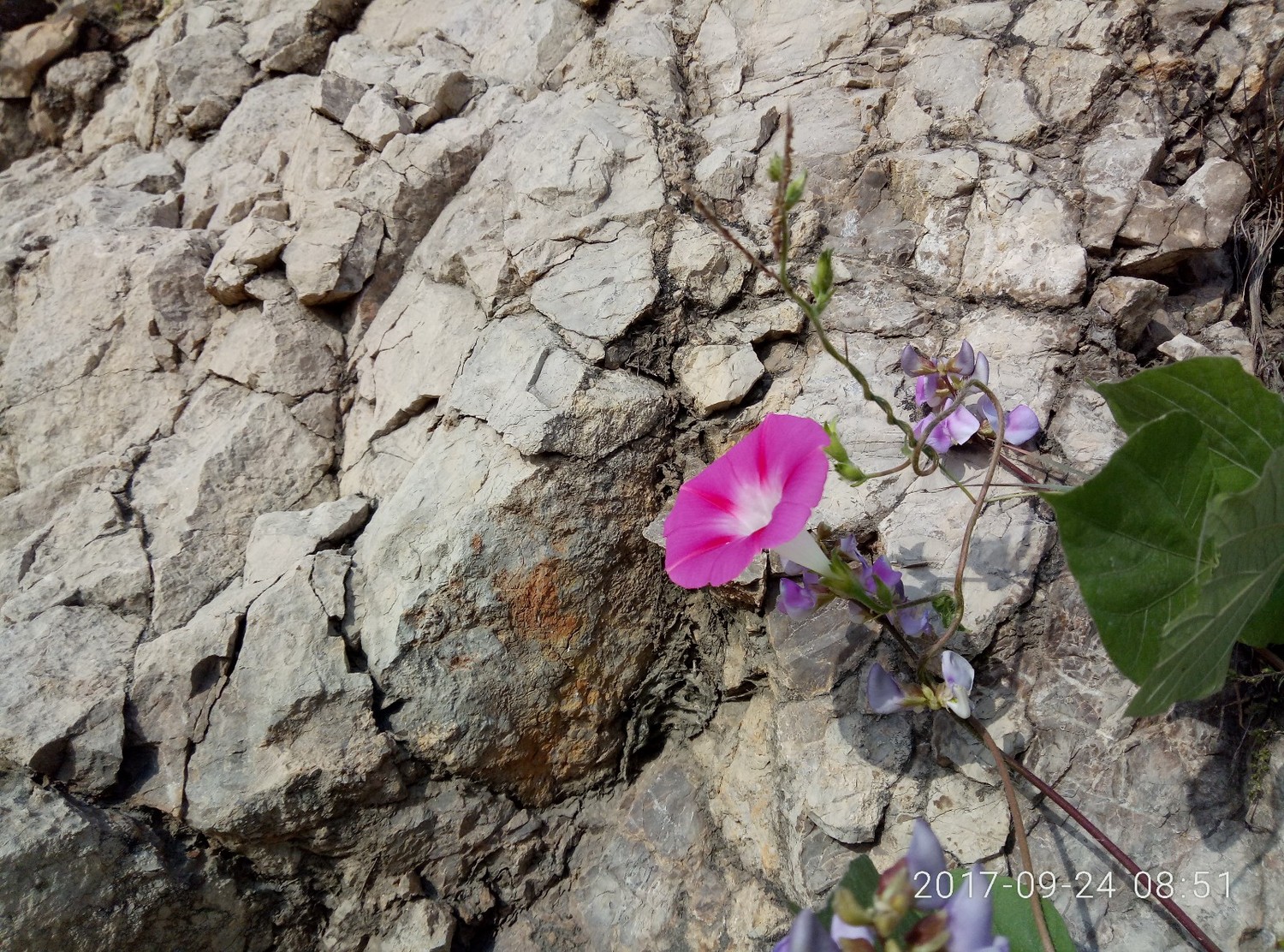 西大洋十八渡,西大洋水库风景区十八渡