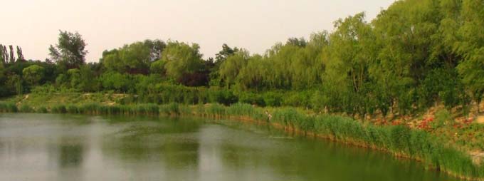 浣宠兘legriahf86娴嬭瘎,浣宠兘legriahfr806娴嬭瘎