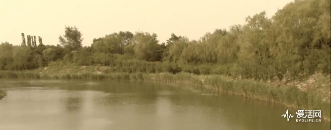 浣宠兘legriahf86娴嬭瘎,浣宠兘legriahfr806娴嬭瘎