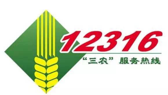 出芽发青土豆怎么处理,土豆怎么放才不生芽发青