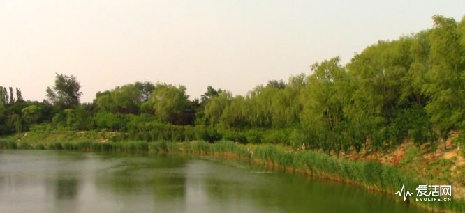 浣宠兘legriahf86娴嬭瘎,浣宠兘legriahfr806娴嬭瘎