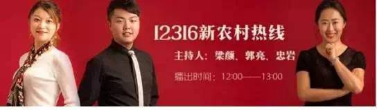 出芽发青土豆怎么处理,土豆怎么放才不生芽发青