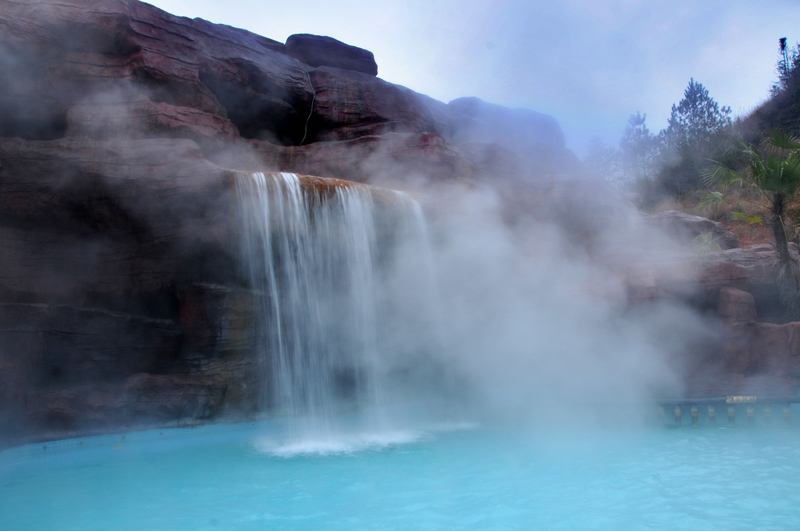 盘丝洞的七个蜘蛛精,盘丝洞的七个蜘蛛精是怎么来的