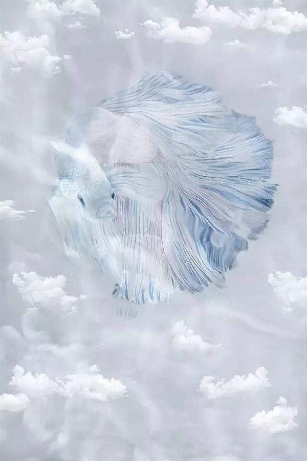 兰玉设计了哪些明星婚纱,为明星设计礼服