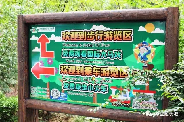 济南野生动物世界一日游自驾,济南野生动物世界一日游攻略