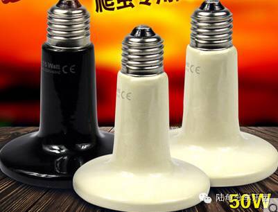 东莞养龟设备,养龟的一套设备大约多少钱