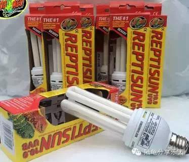 东莞养龟设备,养龟的一套设备大约多少钱