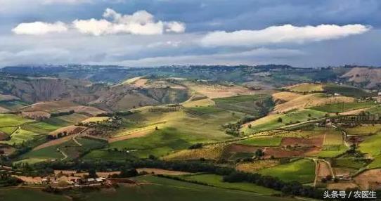 土地流转纠纷化解典型经验做法,解决土地流转问题的措施