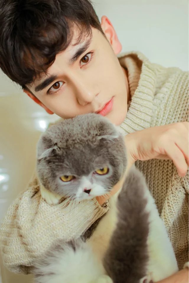 记忆是一座沙城,记忆是一座沙城原句