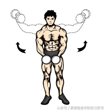 家庭哑铃训练动作大全全身,哑铃全身肌肉训练动作