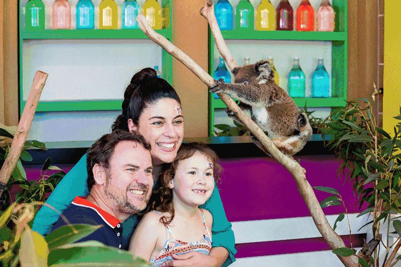 拜耳健康生活 (拜耳健康产品)