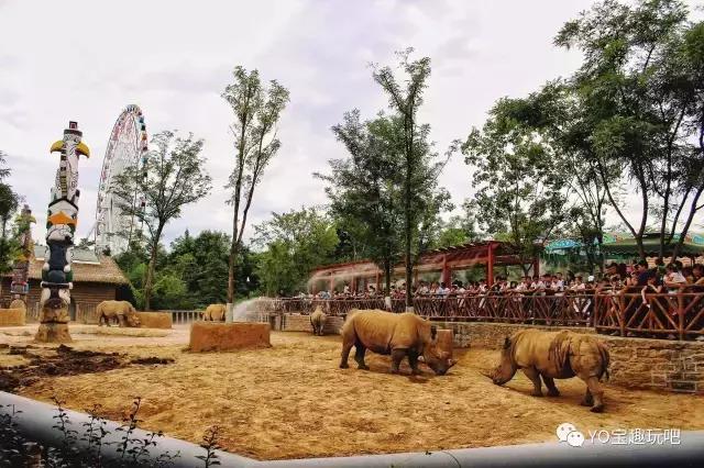 济南野生动物世界一日游自驾,济南野生动物世界一日游攻略