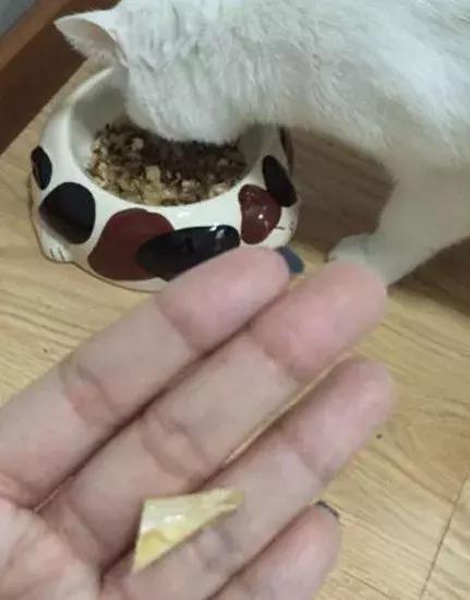 爱丽思罐头为什么这么便宜,测评精粮罐头