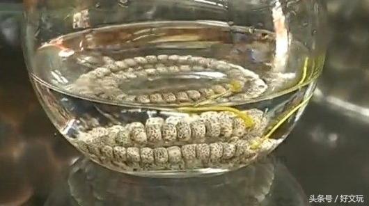 关于星月的句子,关于星月的知识