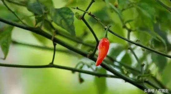 土地流转纠纷化解典型经验做法,解决土地流转问题的措施