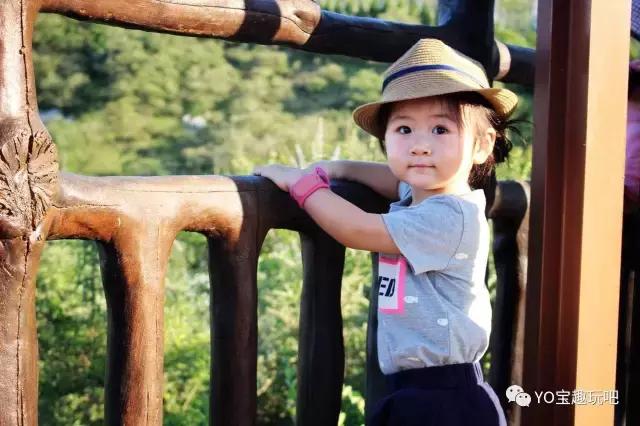 济南野生动物世界一日游自驾,济南野生动物世界一日游攻略