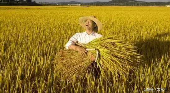 土地流转纠纷化解典型经验做法,解决土地流转问题的措施