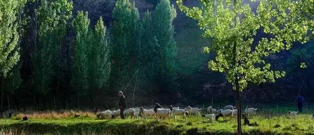 什么？在洞穴赏樱看雪学手艺？看她怎么把废弃洞穴改成浪漫居所