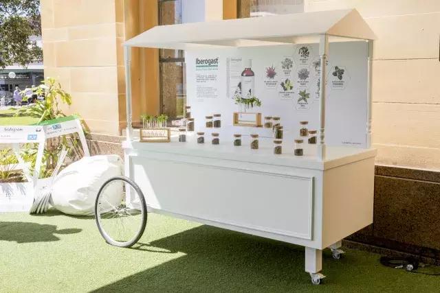 拜耳健康生活 (拜耳健康产品)