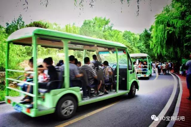 济南野生动物世界一日游自驾,济南野生动物世界一日游攻略