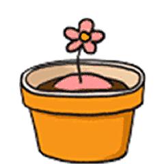 潘达安瓶精华哪个最值得入手,火到断货的护肤品