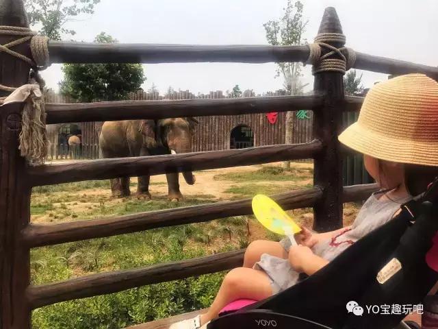 济南野生动物世界一日游自驾,济南野生动物世界一日游攻略