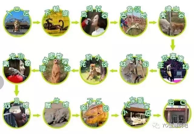 济南野生动物世界一日游自驾,济南野生动物世界一日游攻略