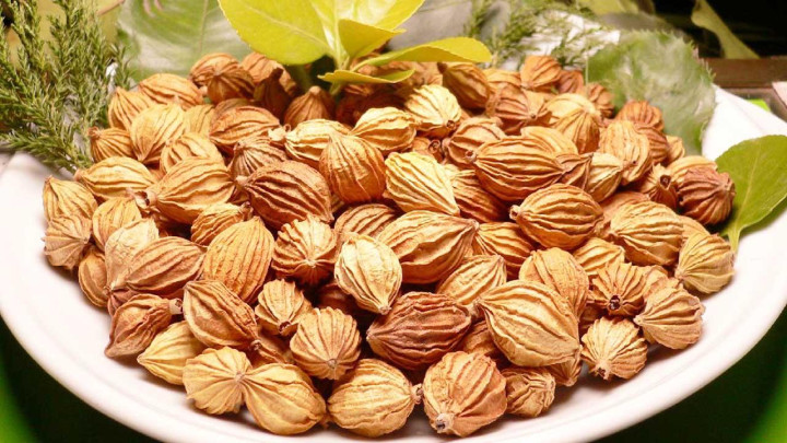 怀孕初期感觉恶心不呕吐没食欲,怀孕初期恶心呕吐但有褐色分泌物