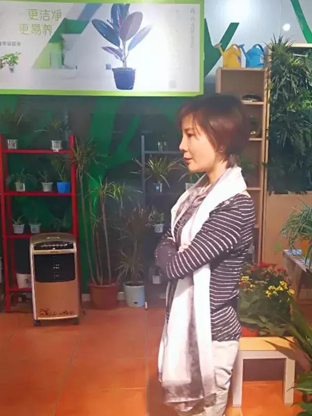 梦美丽排毒茶减肥,梦美丽排毒茶