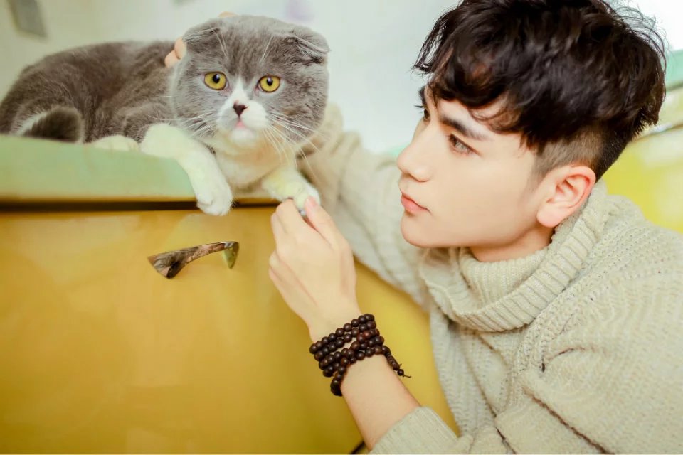 记忆是一座沙城,记忆是一座沙城原句