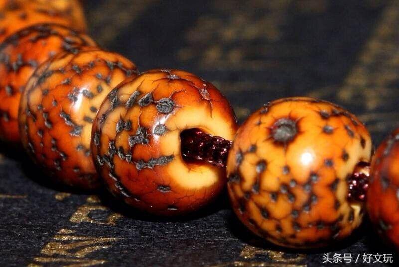 关于星月的句子,关于星月的知识