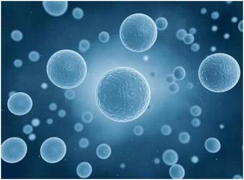 如何预防癌症复发？日本干细胞疗法助力防癌无副作用